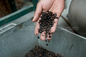 cafe-nguyen-chat-la-gi