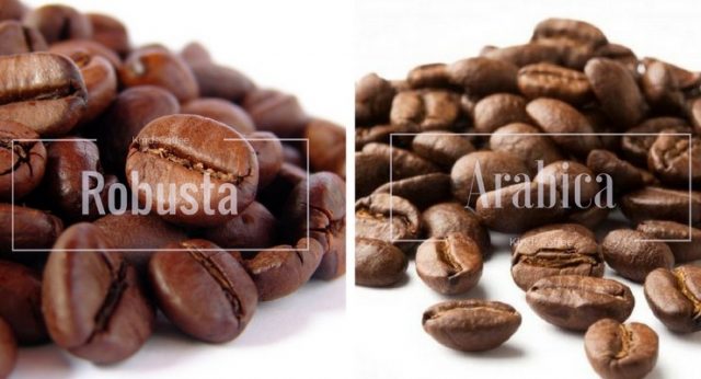 So sánh cafe Arabica và Robusta