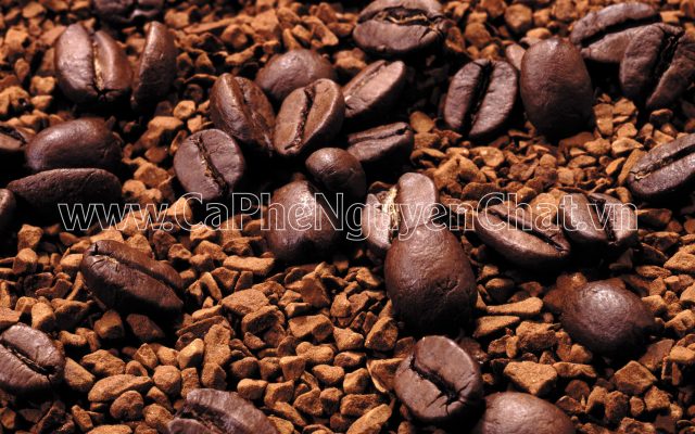 Nguyên chất cà phê tự tin cung cấp cà phê sạch uy tín tại TP.HCM