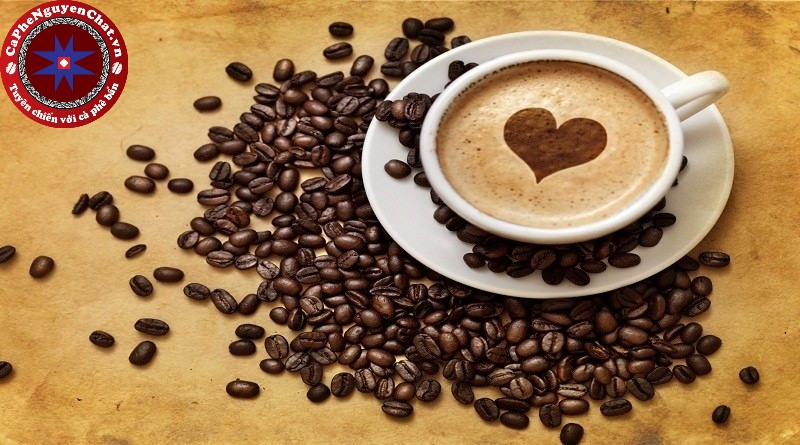 Thưởng thức một ly cà phê nóng vào buổi sáng sẽ giúp tinh thần tỉnh táo hơn. Để có được 1 ly cà phê ngon thì cần có công thức chế biến cà phê đặc biệt. Hãy cùng Nguyên Chất Coffee tìm hiểu điều đặc biệt này nhé.