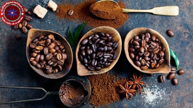 Trước khi chế biến cà phê thì một khâu vô cùng quan trọng đó là lựa chọn nguyên liệu cà phê đầu vào một cách kĩ lưỡng nhất.