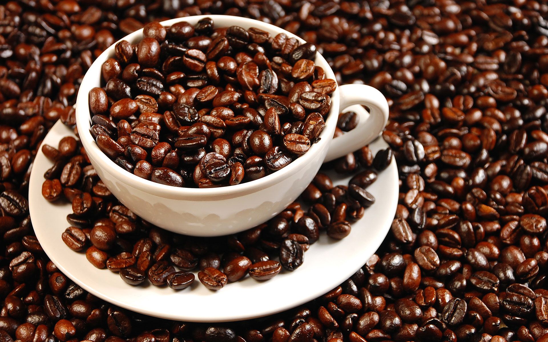 Mua cà phê hạt rang sẵn ở đâu - Cà phê nguyên chất