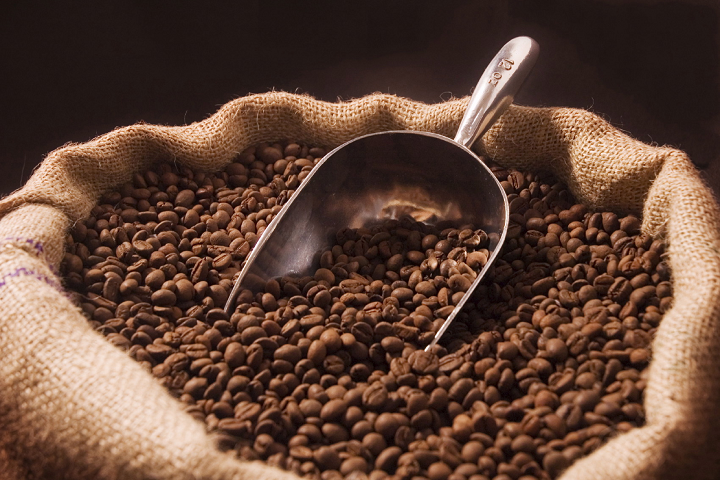 Cách chọn khi mua sỉ cà phê hạt nguyên chất
