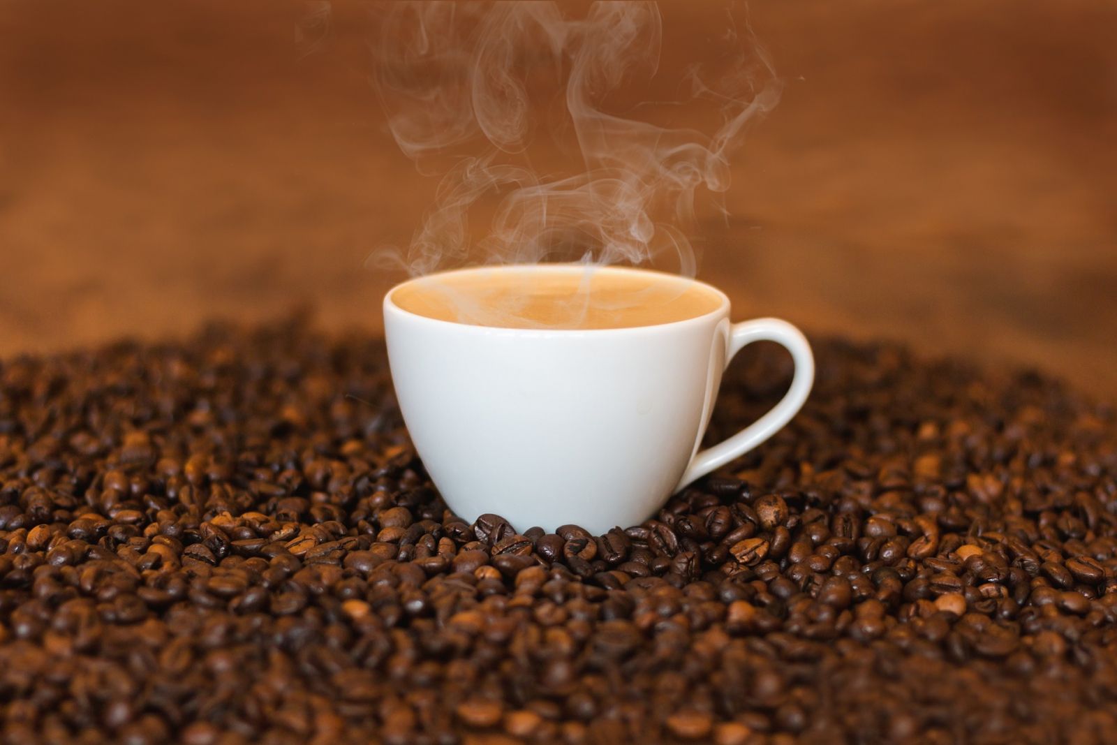 Tìm nguồn cung cấp nguyên vật liệu cà phê tốt nhất
