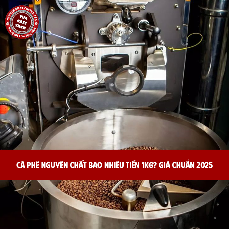 Cà Phê Nguyên Chất Bao Nhiêu Tiền 1kg Giá Chuẩn 2025