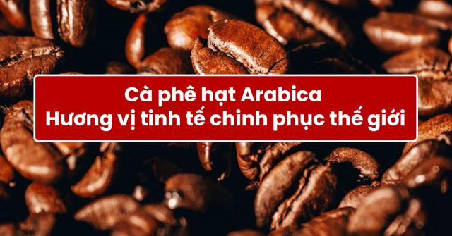 Cà phê hạt Arabica – Hương vị tinh tế chinh phục thế giới