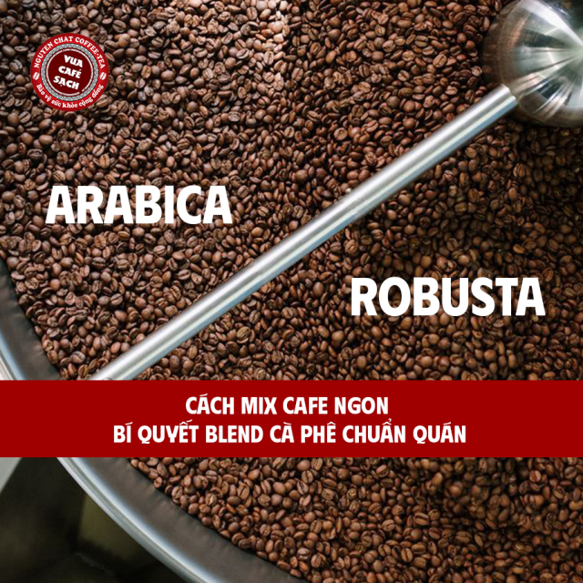 Cách Mix Cafe Ngon Bí Quyết Blend Chuẩn Quán & Tại Nhà