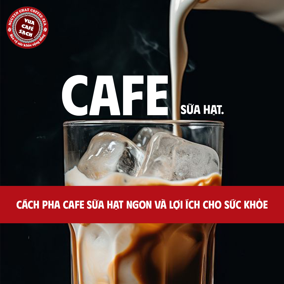 Cafe Sữa Hạt Cách Pha Ngon Và Lợi Ích Cho Sức Khỏe