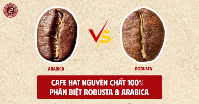 Cafe hạt nguyên chất 100% – Phân biệt Robusta & Arabica