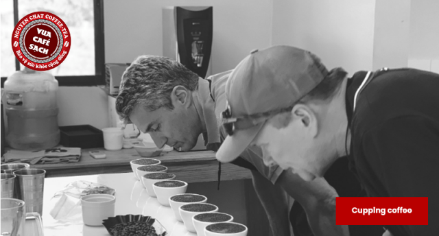 Cupping cà phê