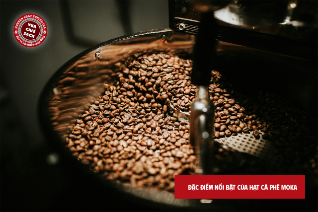 Đặc điểm nổi bật của hạt cà phê Moka