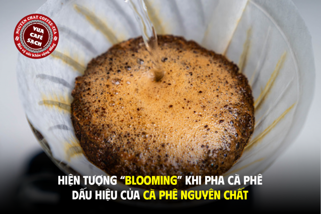 Dấu hiệu nhận biết cà phê nguyên chất