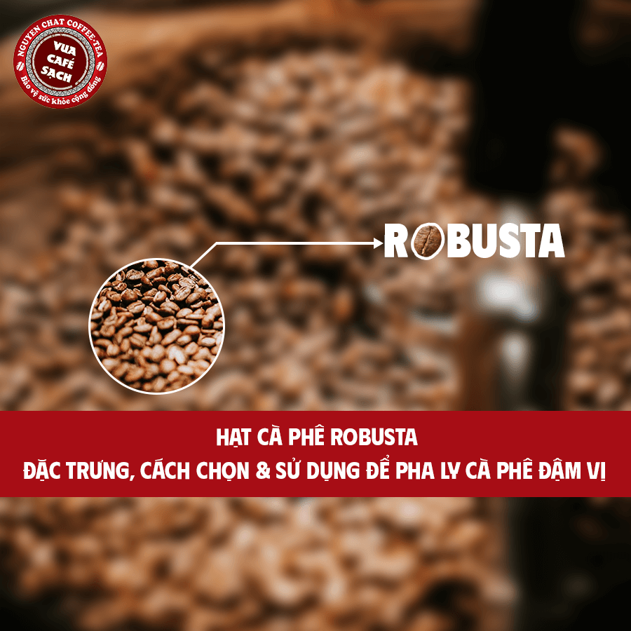 Hạt cà phê Robustaa