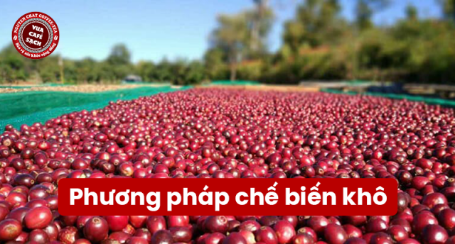 "Phương