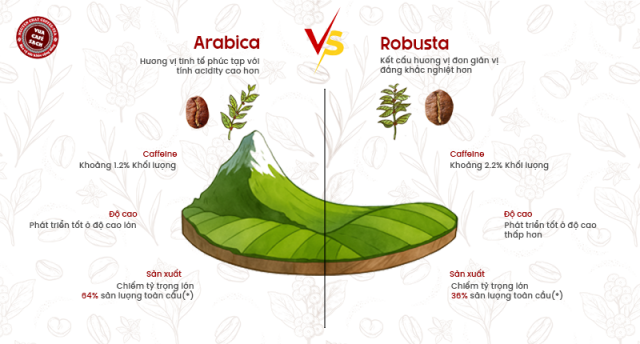 So sánh cà phê hạt Arabica và Robusta qua hương vị