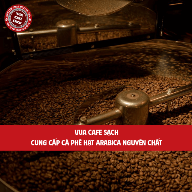 Cung Cấp Cà Phê Hạt Arabica Nguyên Chất