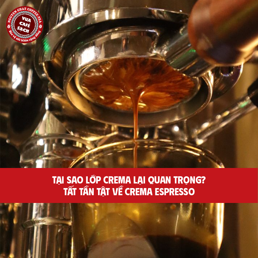 Màu đỏ nâu hồ phách đặc trưng của lớp Crema